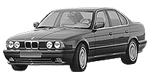 BMW E34 C208A Fault Code